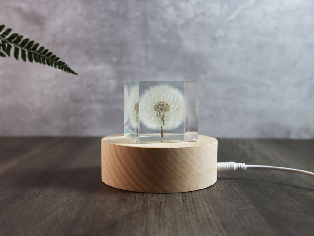  【夢天涯】蒲公英永生花_玻璃畫框｜ 燈飾｜居家裝飾