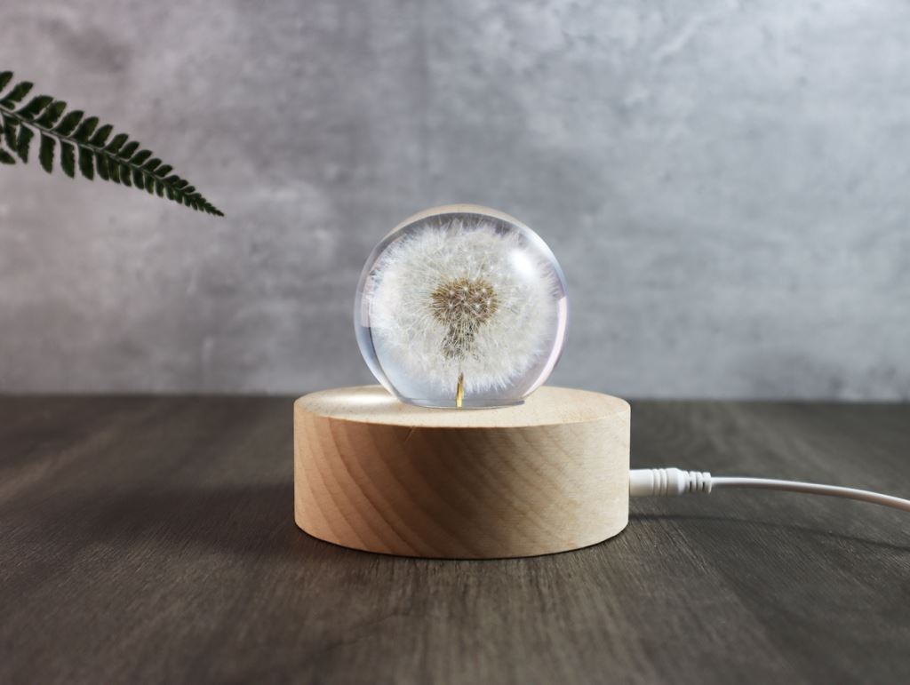  【夢天涯】蒲公英永生花_玻璃畫框｜ 燈飾｜居家裝飾