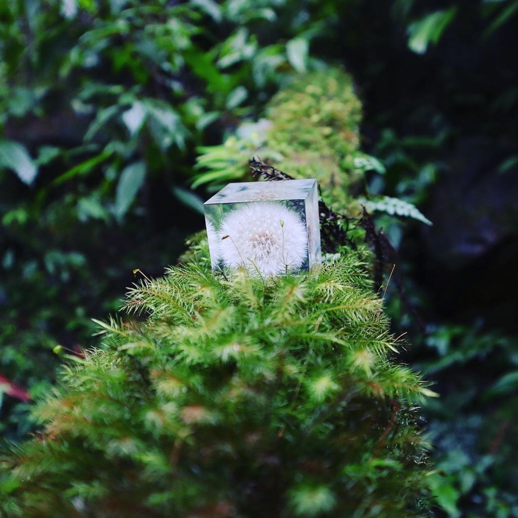 【夢天涯】希望和平_蒲公英紙鶴冰磚_造型擺件｜居家擺飾