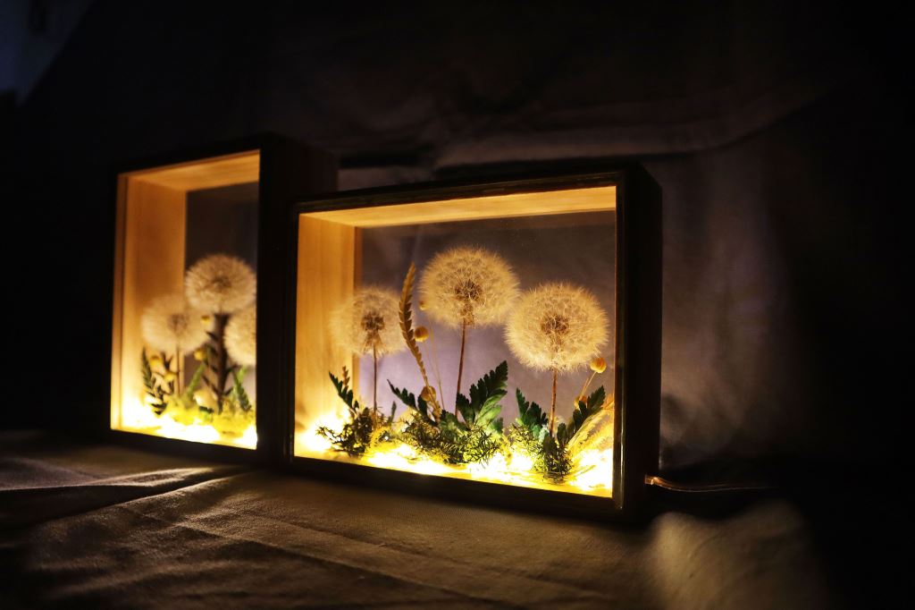 【夢天涯】蒲公英永生花_玻璃畫框｜ 燈飾｜居家裝飾