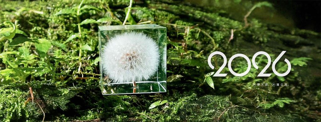  【夢天涯】蒲公英永生花_玻璃畫框｜ 燈飾｜居家裝飾